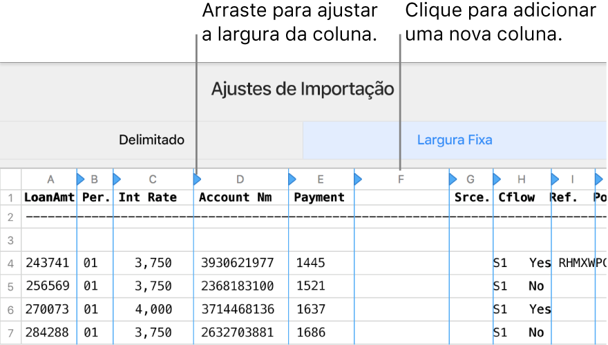 Ajustes de importação para um arquivo de texto de largura fixa.