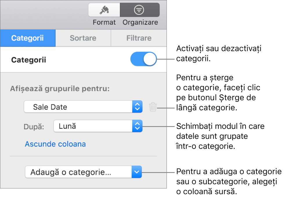 Bara laterală categorii cu opțiuni pentru a dezactiva categoriile, șterge categoriile, regrupa datele, ascunde o coloană sursă și a adăuga categorii.