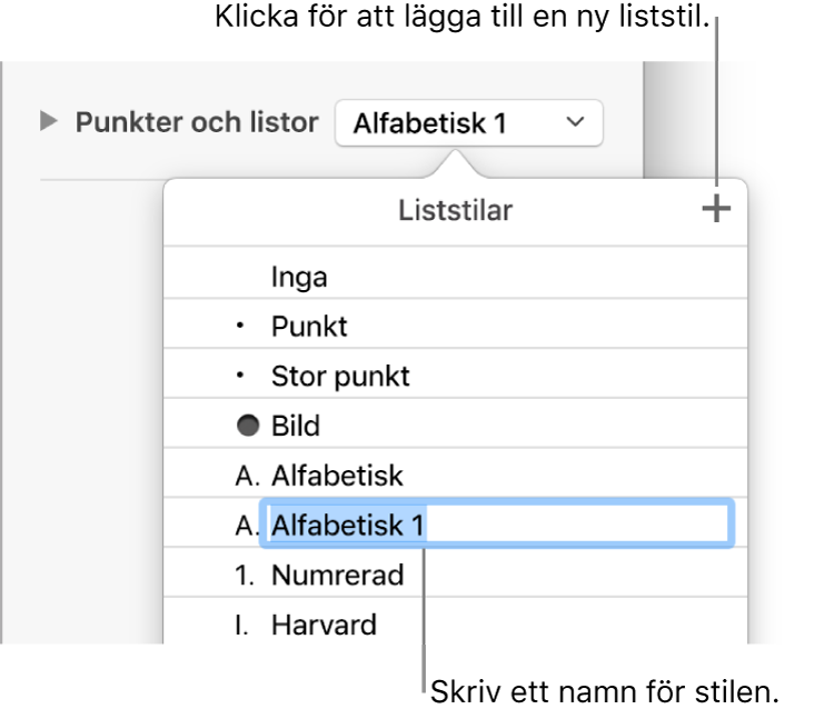 Popupmenyn Liststilar med en lägg till-knapp i det övre högra hörnet och ett platshållarstilnamn med markerad text.