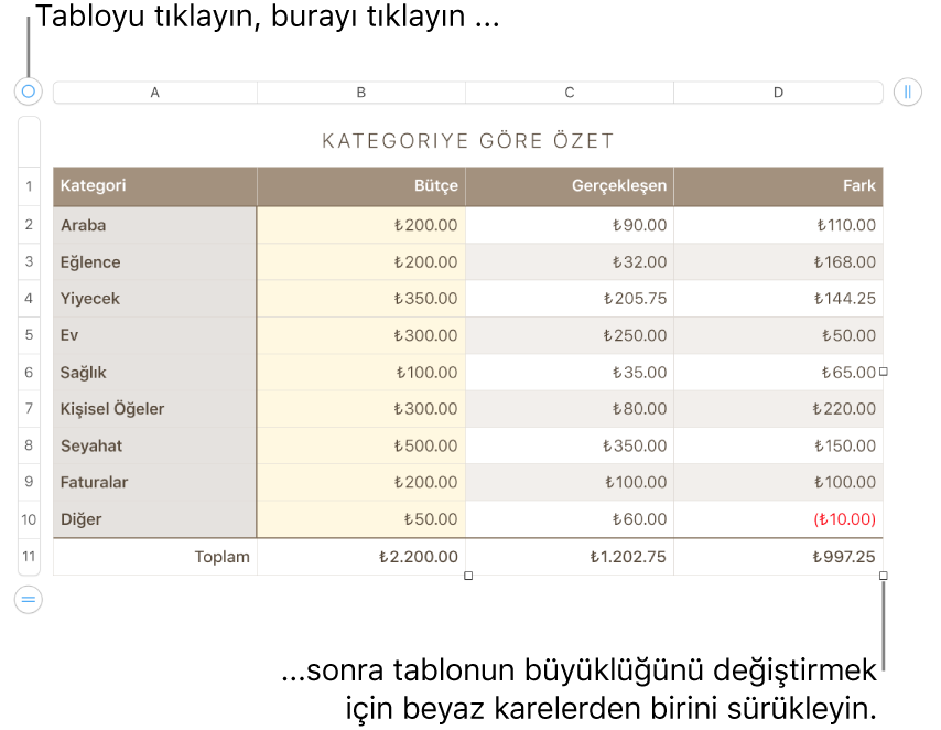 Yeniden boyutlandırma için beyaz kareleri bulunan seçili bir tablo.