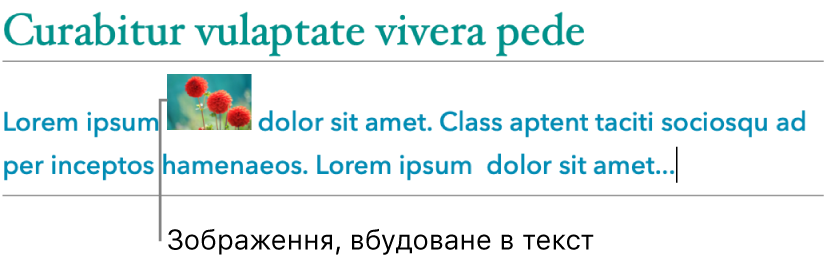 Зображення вбудоване в текст.