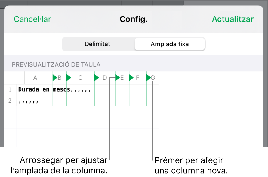 Els paràmetres d’importació d’un arxiu de text d’amplada fixa.