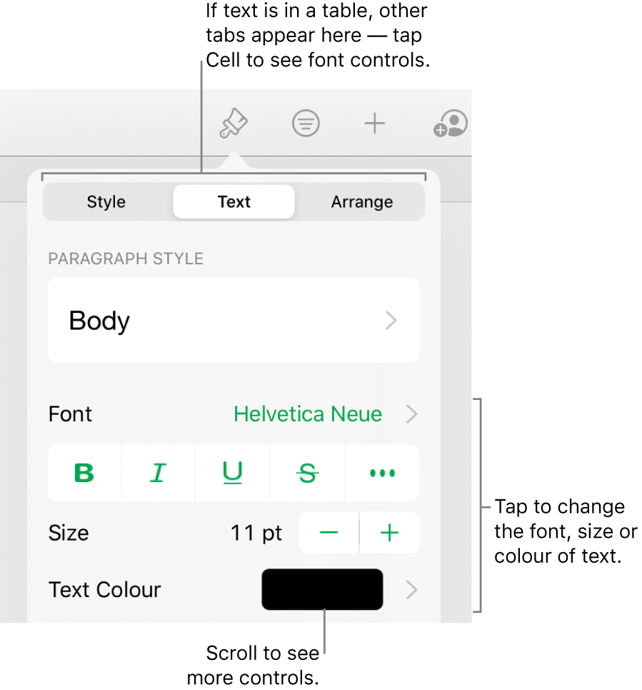 Text controls in the Format menu for setting paragraph and character styles, font, size and colour.