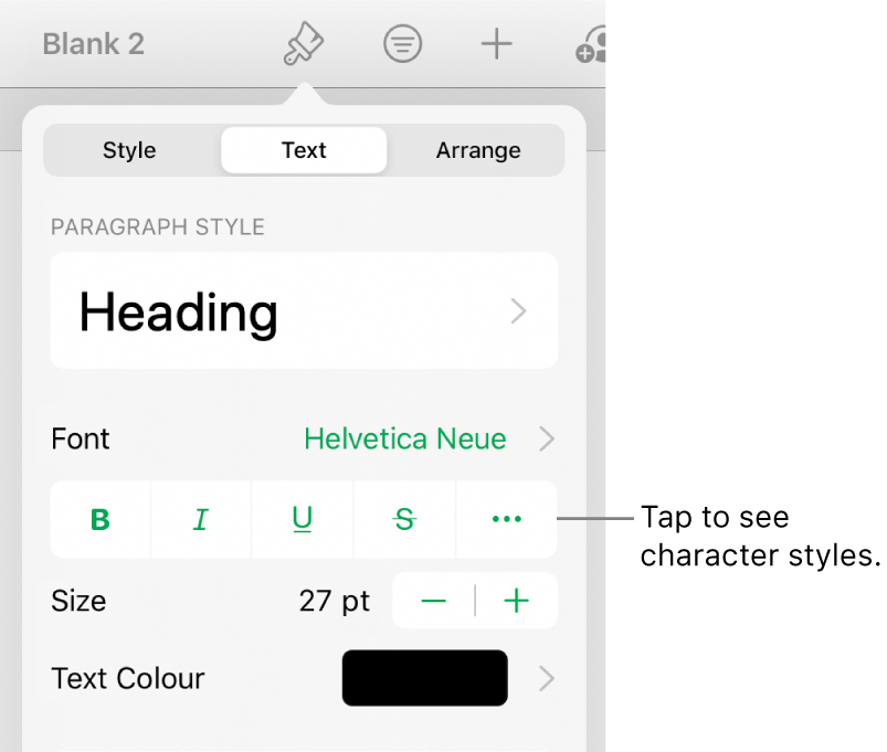The Format controls with paragraph styles at the top, then Font controls. Below Font are the Bold, Italic, Underline, Strikethrough and More Text Options buttons.