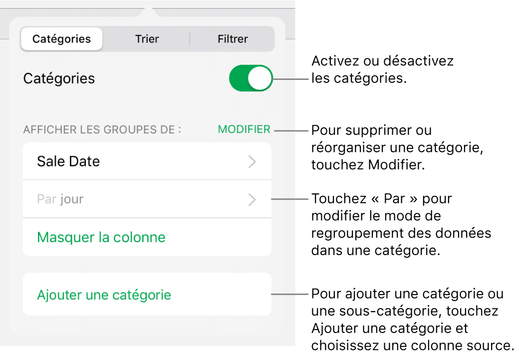 Le menu Catégories pour l’iPad avec des options pour désactiver des catégories, supprimer des catégories, regrouper des données, masquer une colonne source et ajouter des catégories.