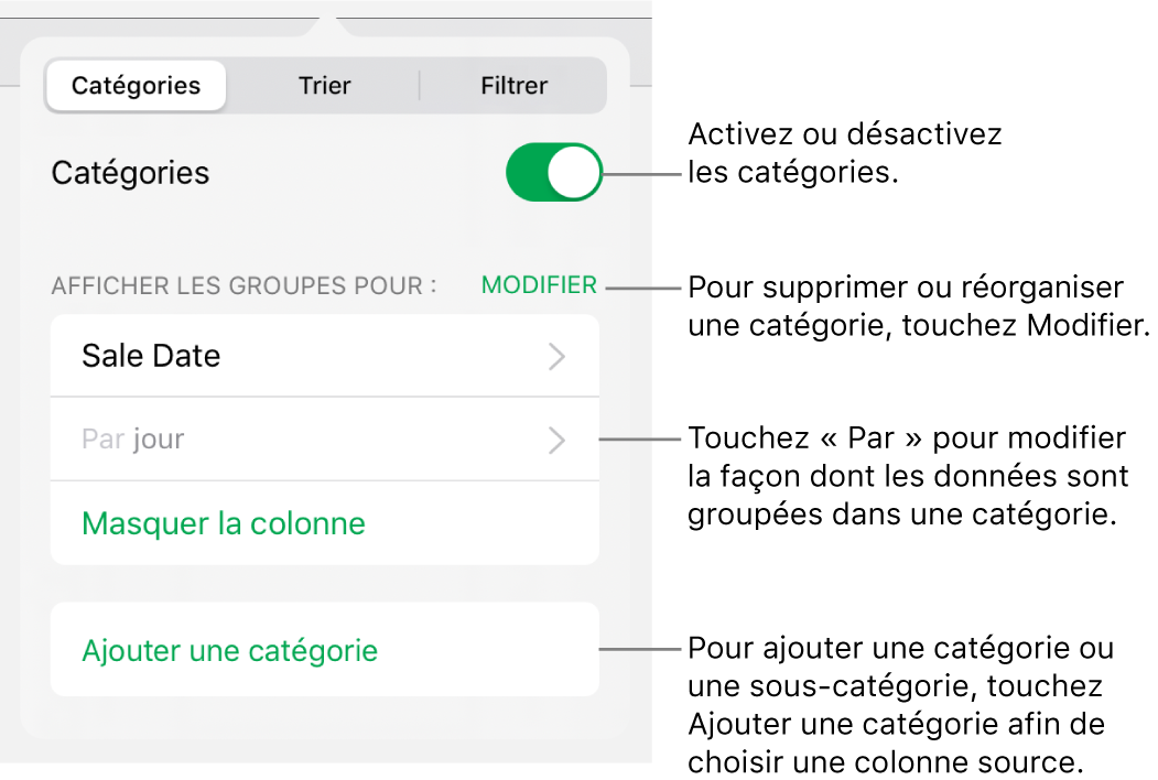 Le menu Catégories pour iPad, avec des options permettant de désactiver les catégories, supprimer des catégories, regrouper des données, masquer une colonne source et ajouter des catégories.