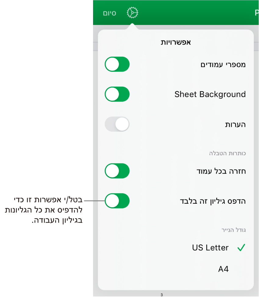 חלונית התצוגה המקדימה של הדפסה, עם כלי בקרה להצגת מספרי עמודים, לחזרה על כותרות עליונות בכל עמוד, לשינוי גודל הנייר ולבחירה אם להדפיס את כל גיליון העבודה או רק את הגיליון הנוכחי.