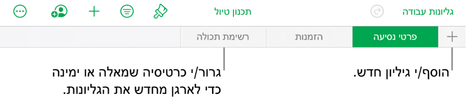 סרגל הלשוניות המאפשר הוספת גיליון חדש, ניווט, שינוי הסדר וארגון מחדש של הגיליונות.