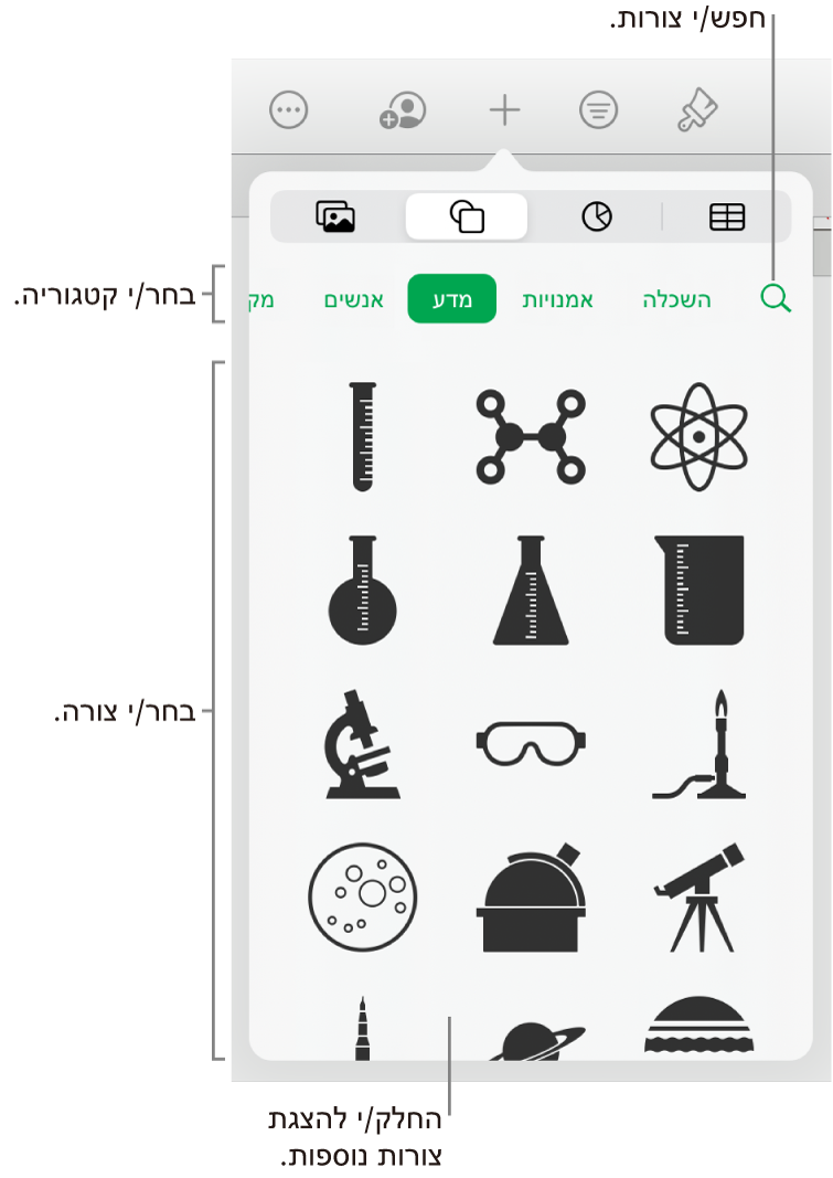 ספריית הצורות, כשקטגוריות מופיעות למעלה וצורות מוצגות למטה. ניתן להשתמש בשדה החיפוש שבראש המסך כדי למצוא צורות, ולהחליק כדי לראות צורות נוספות.