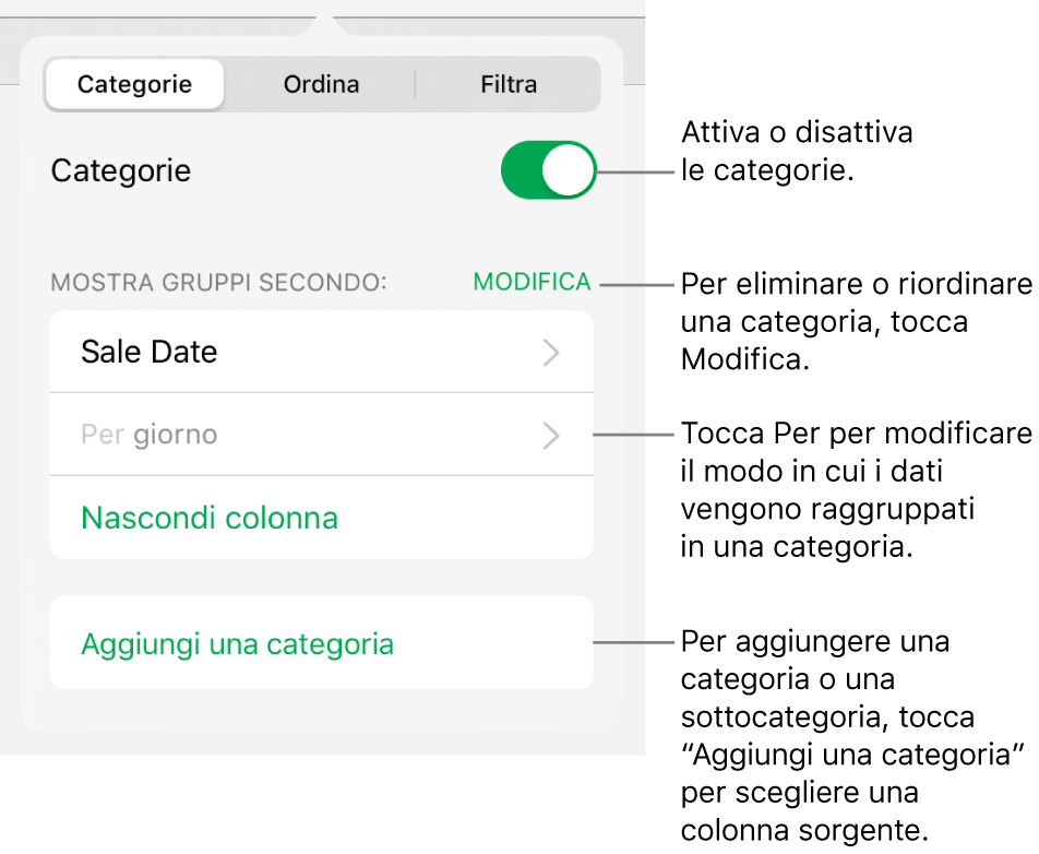Il menu delle categorie in iPad con opzioni per disattivare le categorie, eliminare le categorie, raggruppare i dati, nascondere una colonna sorgente e aggiungere le categorie.