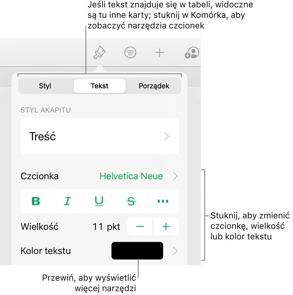 Narzędzia tekstów w menu Format służą do ustawiania stylów akapitu i znaków oraz czcionek ich wielkości i koloru.