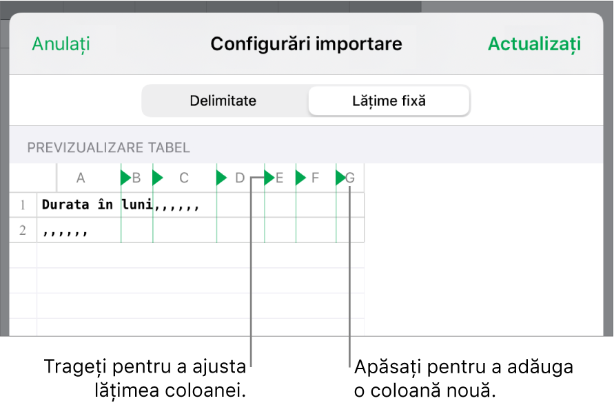 Configurările de importare pentru un fișier de text cu lățime fixă.