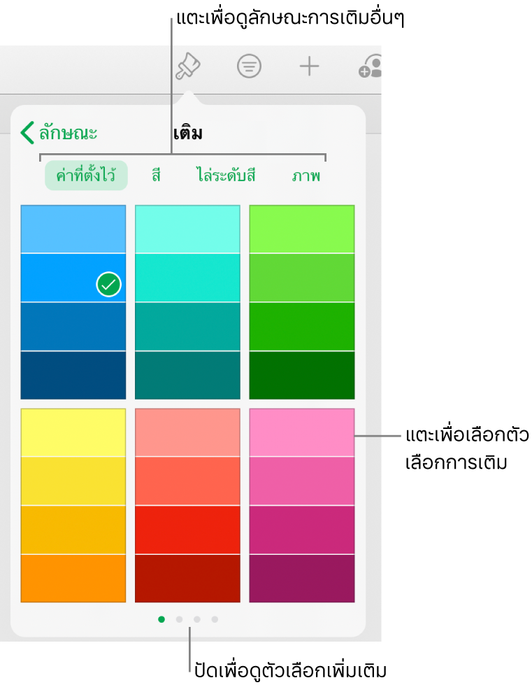 ตัวเลือกการเติมในแถบลักษณะของปุ่มรูปแบบ