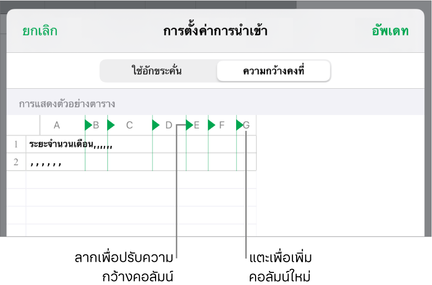 การตั้งค่าการนำเข้าสำหรับไฟล์ข้อความที่ความกว้างคงที่