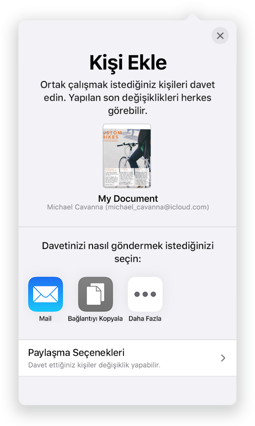 Kişi Ekle ekranı, paylaşılacak hesap tablosunun bir resmini gösteriyor. Onun altında Mail, Bağlantıyı Kopyala ve Diğer de dahil olmak üzere çeşitli davet gönderme yolları için düğmeler var. En altta Paylaşma Seçenekleri düğmesi bulunuyor.