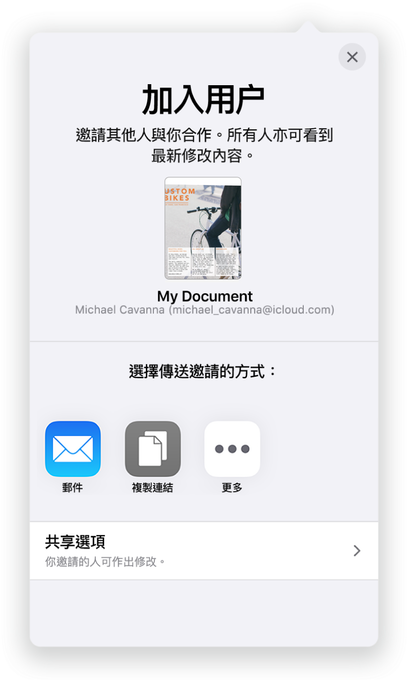 「加入成員」畫面顯示要共享試算表的圖片。其下方為傳送邀請的方式，包括「郵件」、「複製連結」等等。最下方是「分享選項」按鈕。