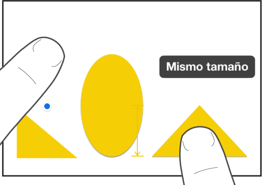 Un dedo justo encima de una figura y otro dedo manteniendo presionado un objeto con las palabras "Mismo tamaño" en la pantalla.