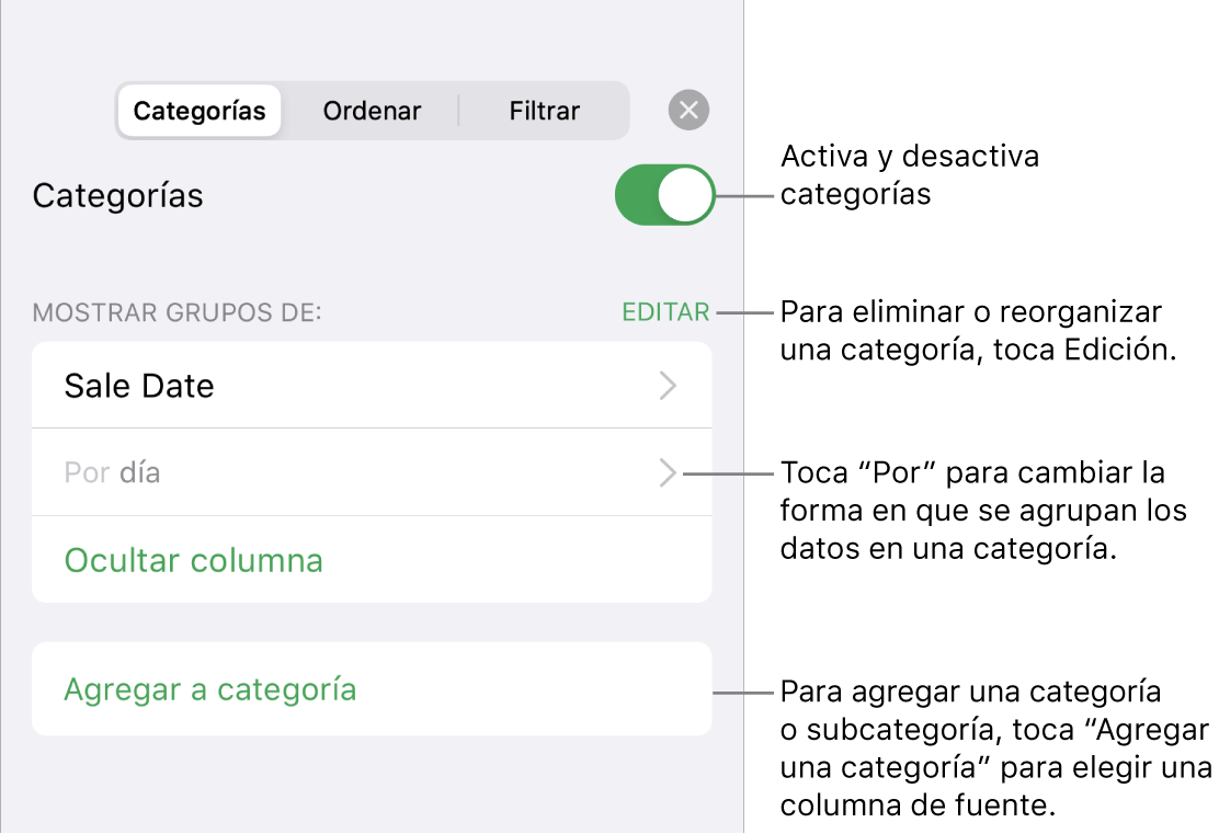 El menú Categorías del iPhone con opciones para desactivar las categorías, eliminar categorías, reagrupar datos, ocultar una columna origen y agregar categorías.