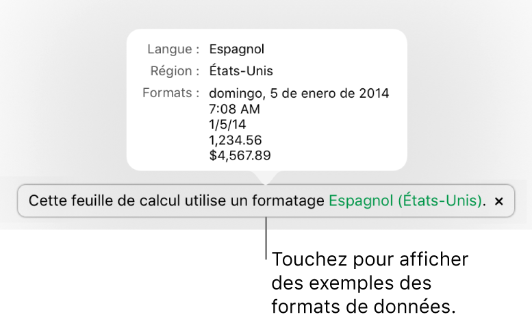 La notification du réglage de langue et de région différents, qui affiche des exemples de la mise en forme correspondant à cette langue et à cette région.