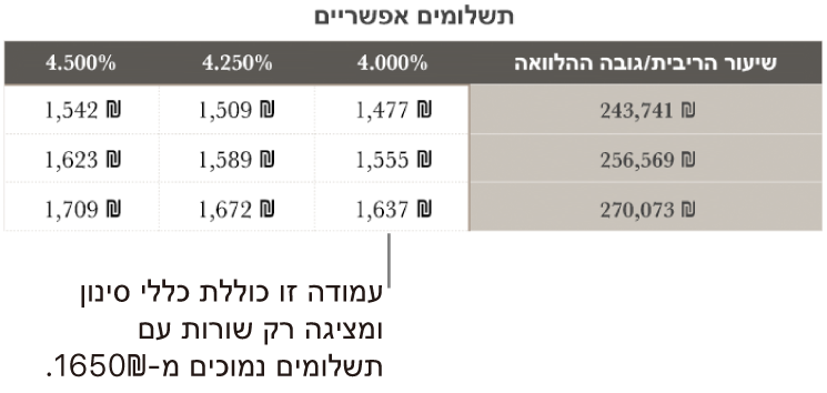 טבלת תשלומי משכנתא מוצגת, לאחר הסינון לפי שערי רבית שניתן לעמוד בהם.