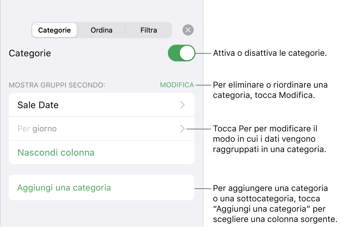 Il menu delle categorie in iPhone con opzioni per disattivare le categorie, eliminare le categorie, raggruppare i dati, nascondere una colonna sorgente e aggiungere le categorie.