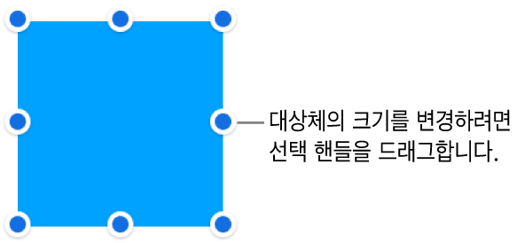 대상체의 크기를 조절하기 위해 테두리에 파란색 점이 있는 대상체.