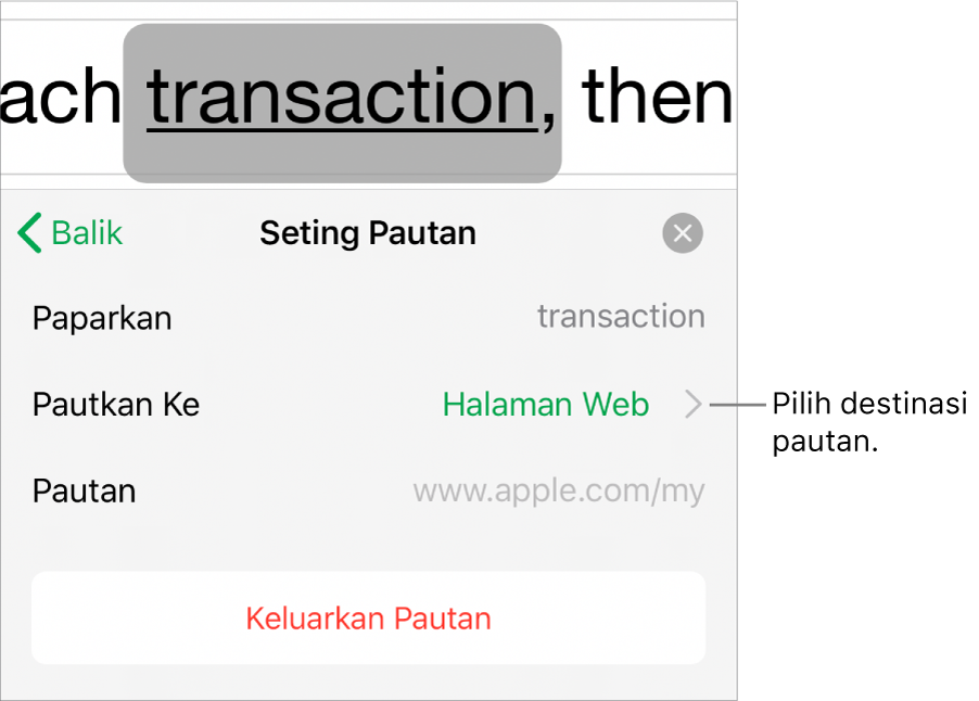 Kawalan Seting Pautan dengan medan untuk Paparan, Pautkan Ke (Halaman Web dipilih) dan Pautan. Butang Keluarkan Pautan berada di bahagian bawah.