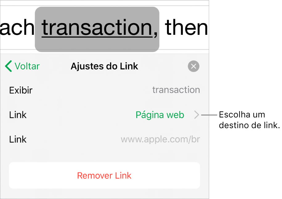 Controles de “Ajustes do Link” com o campo Exibir, Link (definido como Página web) e o campo Link. O botão Remover Link está na parte inferior.