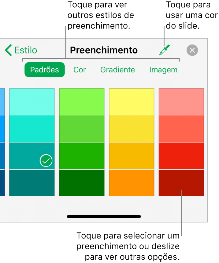 Opções de preenchimento na aba Estilo do botão Formatar.