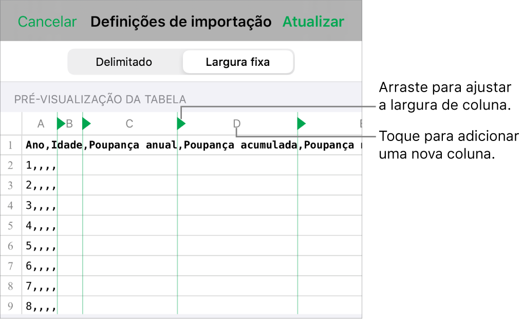 As definições de importação para um ficheiro de texto de largura fixa.