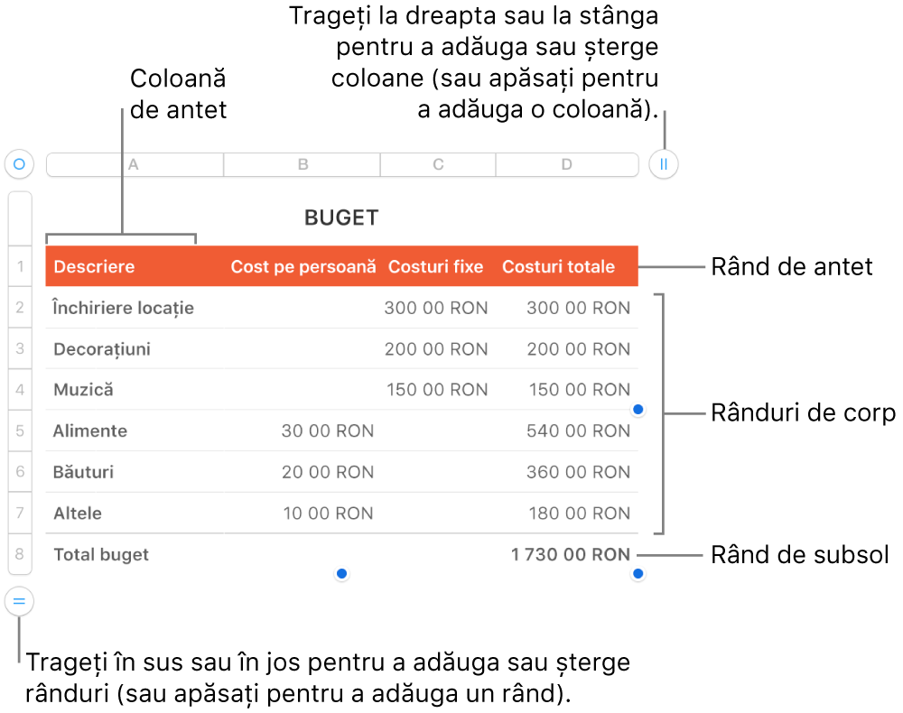 Un tabel, cu rânduri și coloane pentru antet, corp și subsol și mânere pentru adăugarea sau ștergerea rândurilor sau coloanelor.