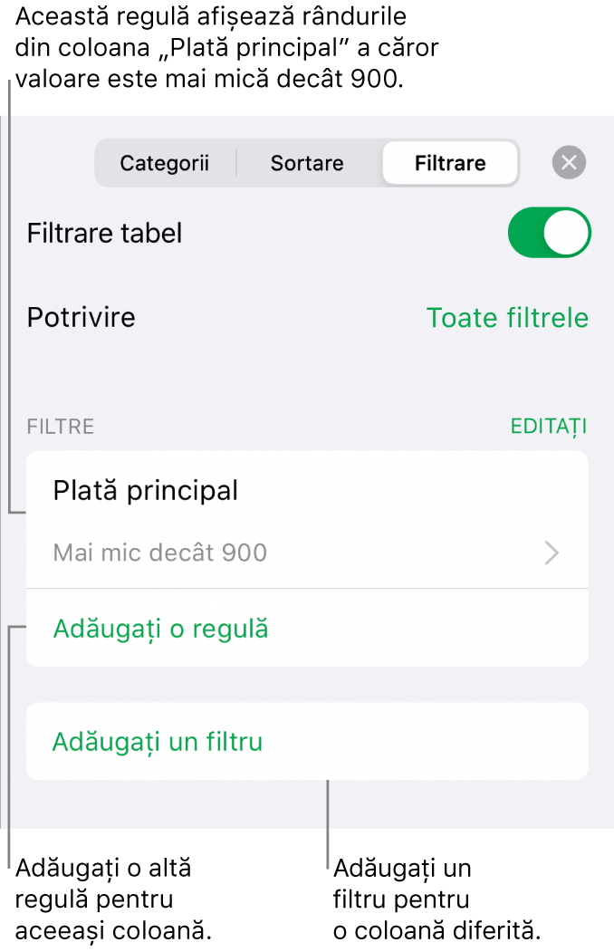 Comenzile pentru adăugarea de noi reguli de filtrare sau editarea celor existente.
