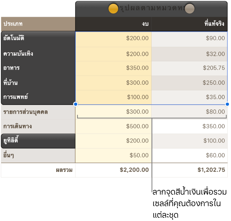 เซลล์ตารางที่แสดงชุดของขอบจับส่วนที่เลือก