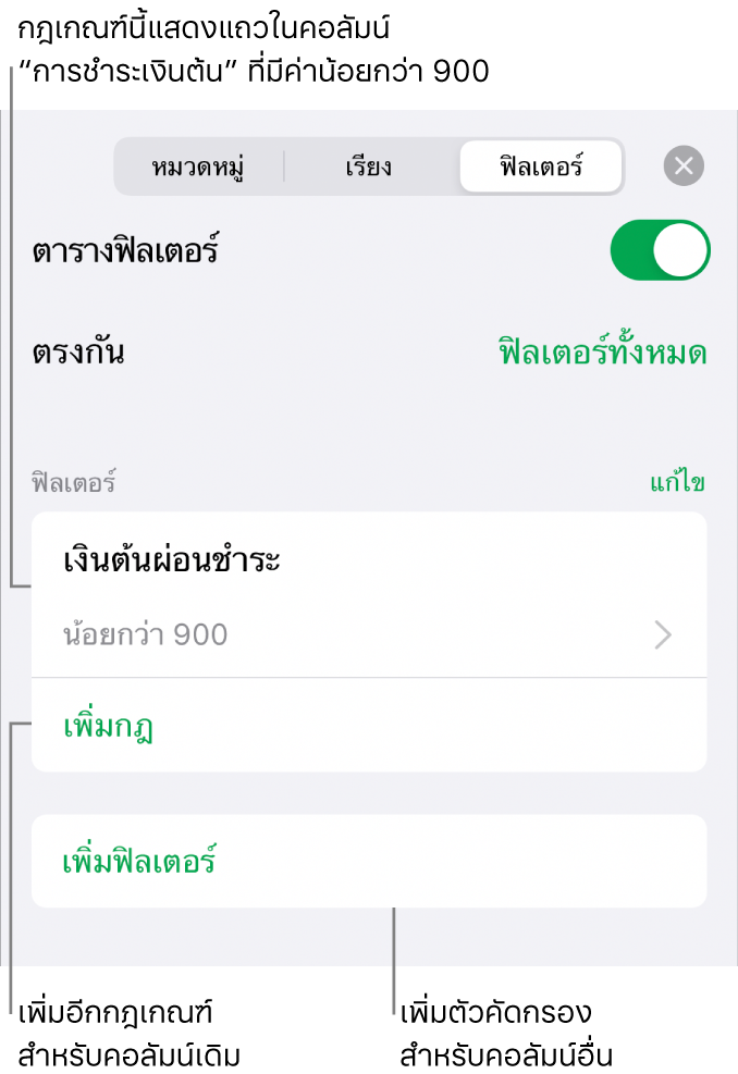 การควบคุมสำหรับเพิ่มกฎเกณฑ์การใส่ฟิลเตอร์ใหม่หรือการแก้ไขกฎเกณฑ์ที่มีอยู่แล้ว