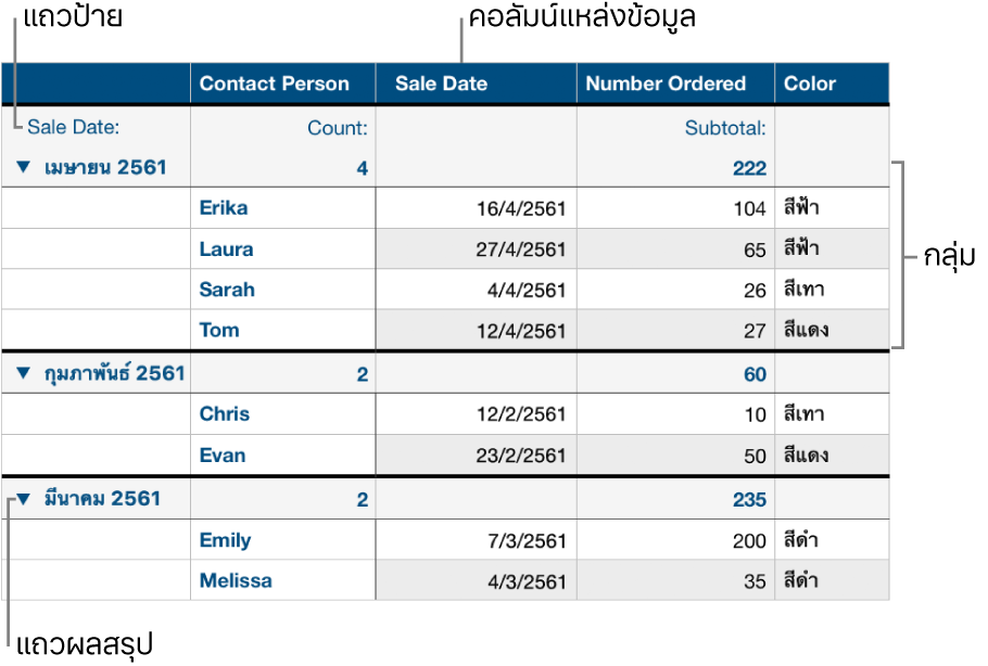 ตารางที่จัดหมวดหมู่ที่แสดงคอลัมน์แหล่งข้อมูล, กลุ่ม, แถวผลสรุป และแถวป้าย