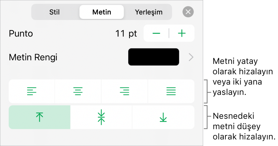 Metin hizalama ve aralık düğmelerine belirtimler gösteren Biçim Denetçisi'nin Hizalama bölümü.