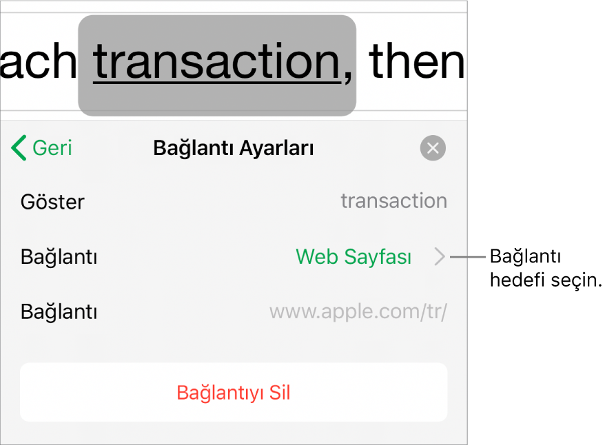 Göster, Bağlantı (Web Sayfası seçilidir) ve Bağlantı alanları ile Bağlantı Ayarları denetimleri. Bağlantıyı Kaldır düğmesi en alttadır.