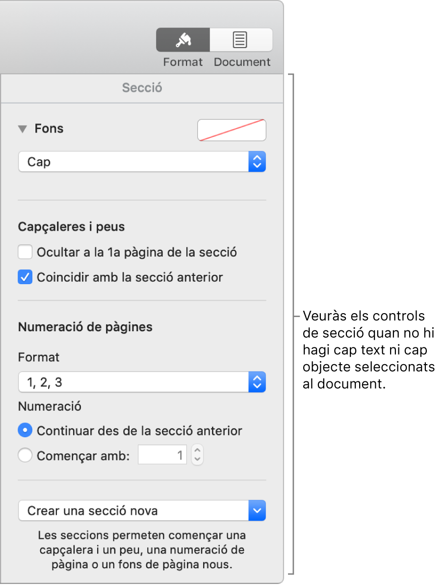 El botó Format de la barra d’eines està seleccionat i a sota hi ha els controls de Secció.