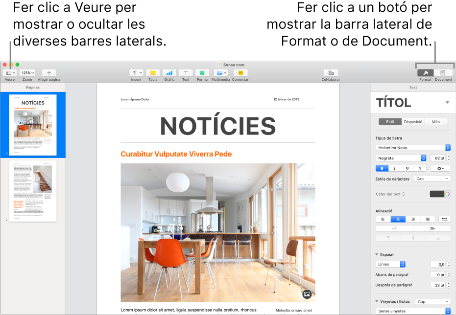 La finestra del Pages, amb llegendes per al botó del menú Veure i els botons Format i Document de la barra d’eines. Barres laterals obertes a l’esquerra i la dreta.