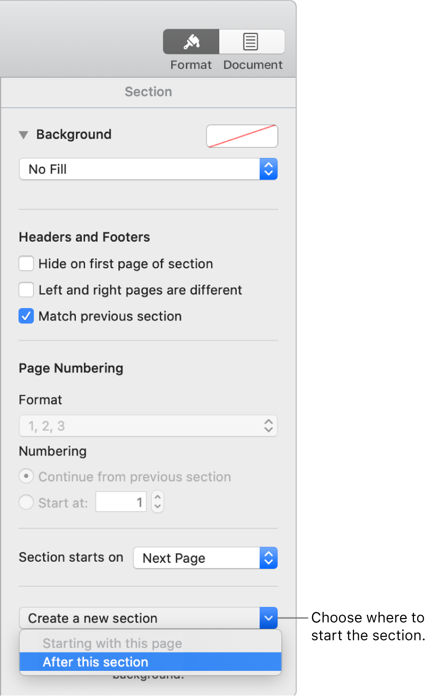 The Section tab with controls for headers, footers, page numbers and where to start the new section.