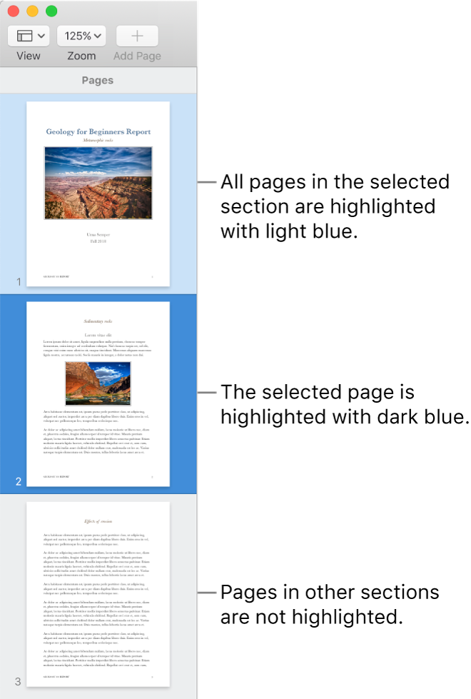 The Thumbnail View sidebar with the selected page highlighted in dark blue and all pages in the selected section highlighted in light blue.
