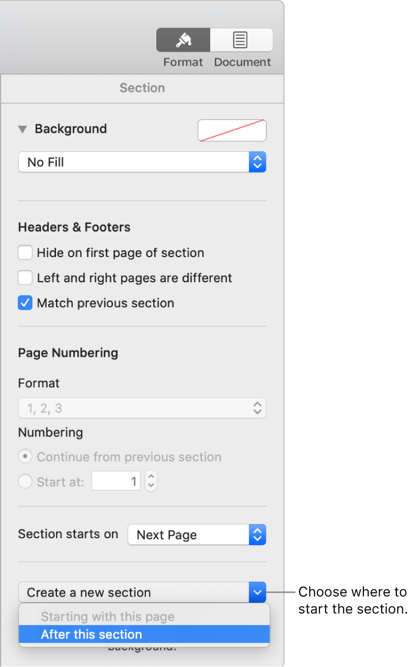 The Section tab with controls for headers, footers, page numbers, and where to start the new section.