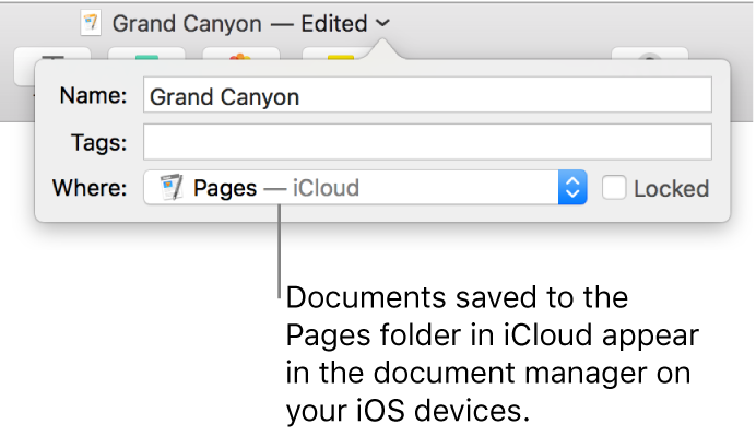 The Save dialog for a document with Pages—iCloud in the Where pop-up menu.