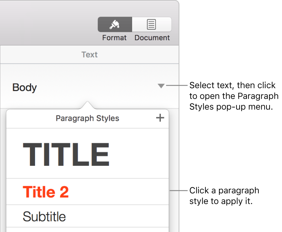 The Paragraph Styles menu with a checkmark next to the selected style.