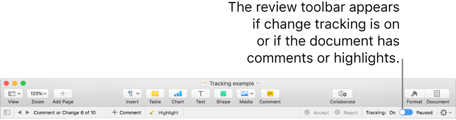 The Pages toolbar with change tracking turned on, and the review toolbar below it.