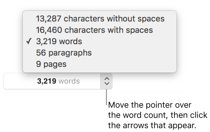 The word count popover showing the number of words in the document.