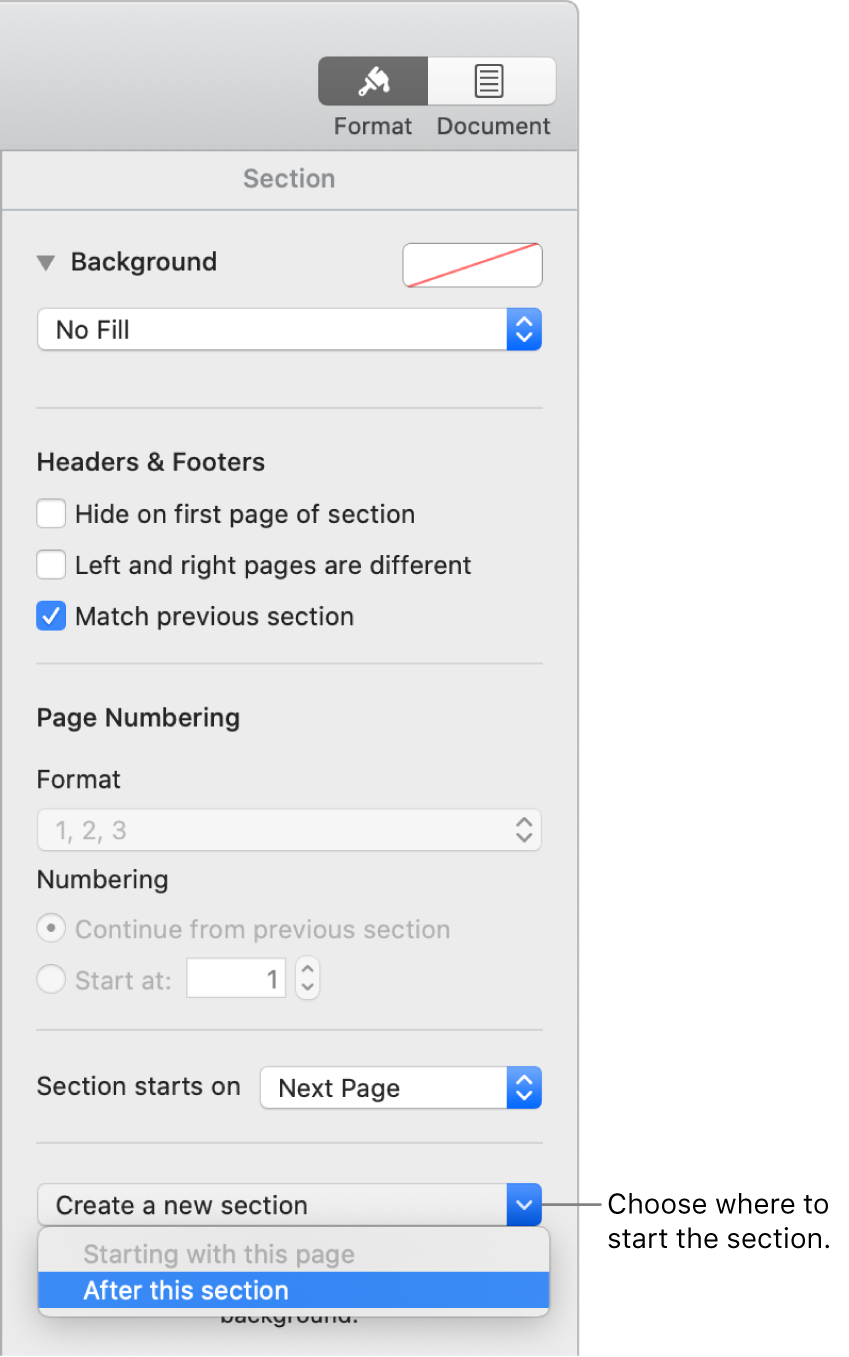 The Section tab with controls for headers, footers, page numbers, and where to start the new section.