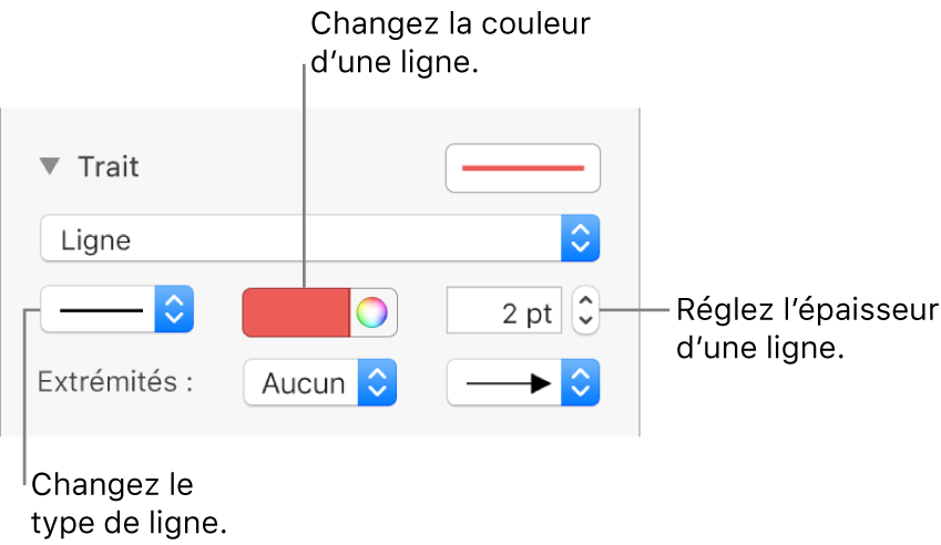 Les commandes de trait permettant de définir des extrémités, l’épaisseur du trait et sa couleur.