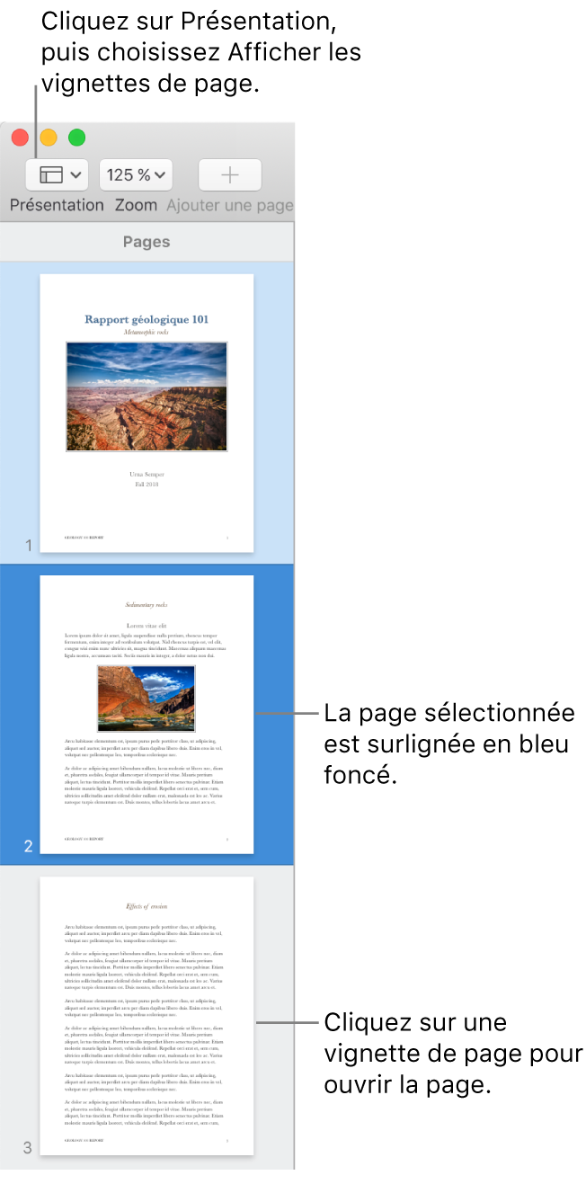 La barre latérale du côté gauche de la fenêtre Pages avec présentation en vignettes de page et une page sélectionnée en surbrillance bleu foncé.