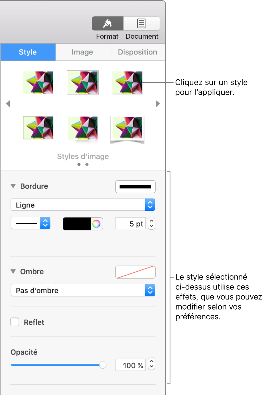 L’onglet Style de la barre latérale Format, présentant les options de style d’objet.